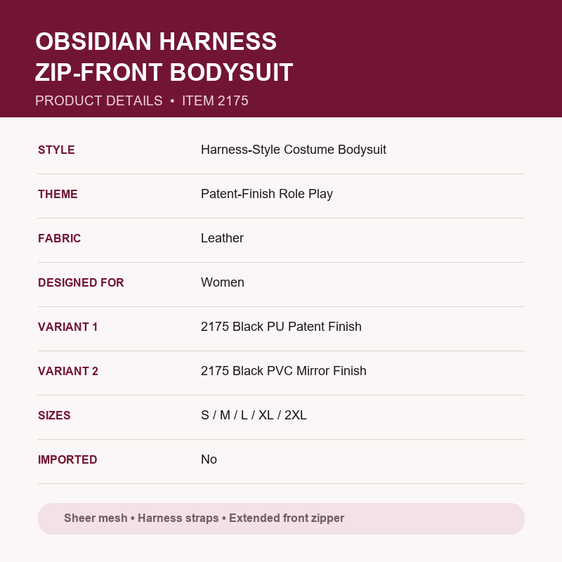 Obsidian Harness Zip-Front Bodysuit – Sheer Mesh Cups and Extended Crotch-Zip Styling
