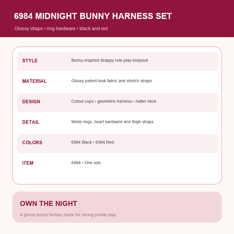 Midnight Provocation Glossy Bunny Harness Costume Set – Cutout Strappy Bodysuit with Ring Hardware and Bunny Accessories